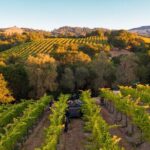 Knossos, Olive Grove, Winery - Distillery with Tastings & Lunch - FAQ