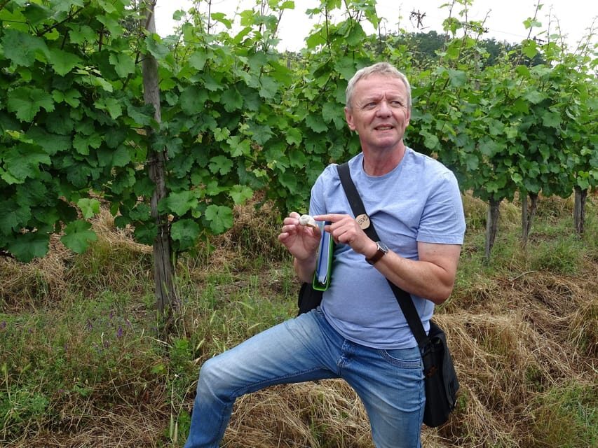 Koblenz: The Living Vineyard, Nature & Wine Enjoyment - Final Word