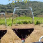 Konavle Private Countryside Experience with Wine & Spirits - Practical Details