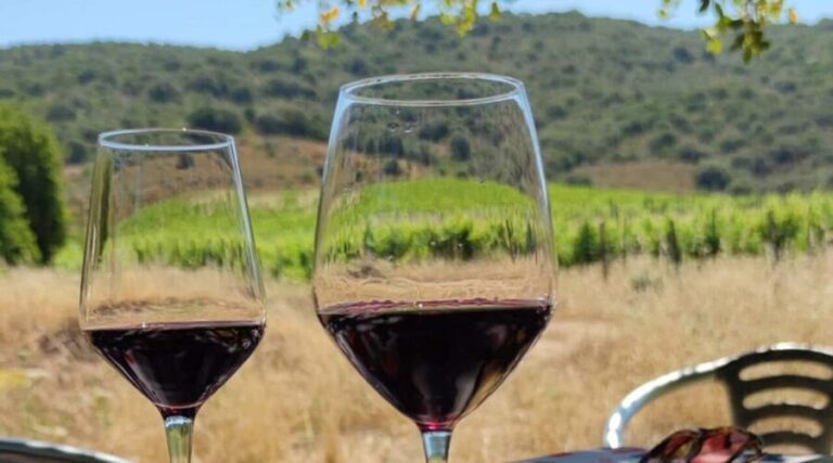 Konavle Private Countryside Experience with Wine & Spirits - Practical Details