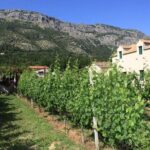 Konavle Region Shared Tour from Cavtat - Final Thoughts