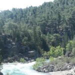 Koprulu Canyon: River Kayaking Experience with Lunch - What Travelers Say: Authentic Insights