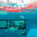 Korcula Semisubmarine Tour - Pricing and Value