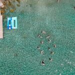 Korula & Lumbarda Islands Boat Tour with Snorkeling & Shipwreck - The Small-Group Difference