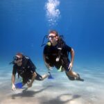 Kos: Beginner Scuba Diving from the Beach with Pickup - Who Should Consider This Tour?