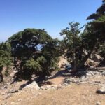 Kos: Full-Day Jeep Safari with Lunch - The Real Traveler Experience: Authentic Insights