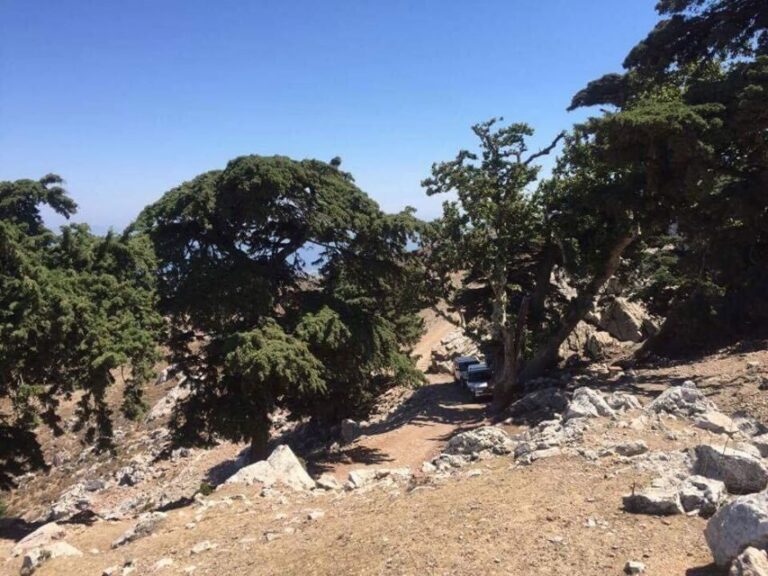 Kos: Full-Day Jeep Safari with Lunch - The Real Traveler Experience: Authentic Insights