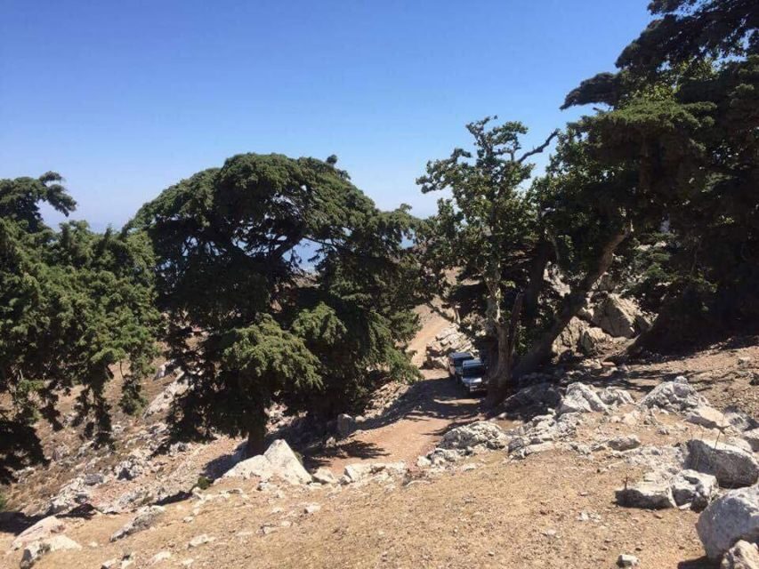 Kos: Full-Day Jeep Safari with Lunch - The Real Traveler Experience: Authentic Insights