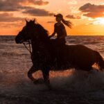 Kos: Horse Riding Experience on the Beach with Instructor - What the Experience Entails
