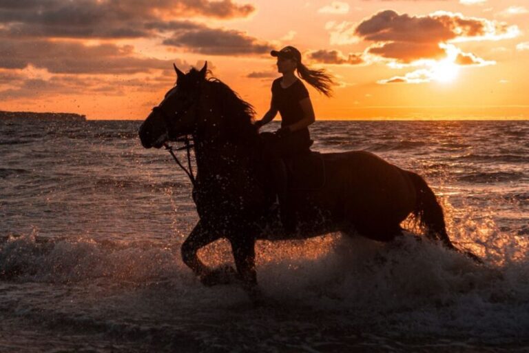 Kos: Horse Riding Experience on the Beach with Instructor - What the Experience Entails