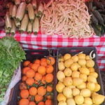 Kotor: 3H Food Tour - What Reviewers Say About This Experience