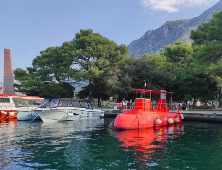 Kotor: Panorama and Semi-Submarine Underwater Experience - Authentic Experiences and Guest Insights