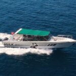 Kotor Perast and Our Lady of the Rock Boat Tour from Herceg Novi - A Deep Dive into the Tour Experience