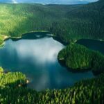 Kotor to Durmitor - Black Lake & Djurdjevica Tara Bridge tour - An In-Depth Look at the Experience