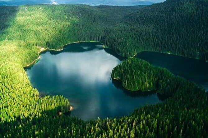 Kotor to Durmitor - Black Lake & Djurdjevica Tara Bridge tour - An In-Depth Look at the Experience