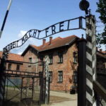 Krakow: Auschwitz-Birkenau Memorial Tour with Optional Lunch - What Past Travelers Say