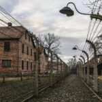 Krakow: Auschwitz-Birkenau & Salt Mine OneDay Tour (hotel pickup) - Who Should Consider This Tour?
