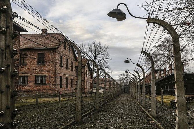 Krakow: Auschwitz-Birkenau & Salt Mine OneDay Tour (hotel pickup) - Who Should Consider This Tour?
