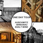 Krakow: Full-Day Auschwitz-Birkenau & Salt Mine Guided Tour - Practical Details That Matter