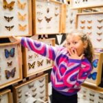 Krakow: Museum of Living Butterflies 2+2 - What’s Missing and Potential Drawbacks
