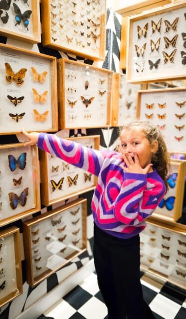 Krakow: Museum of Living Butterflies 2+2 - What’s Missing and Potential Drawbacks