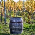 Kraków: Private Lavender Fields & Vineyard Tasting Tour - The Itinerary Breakdown