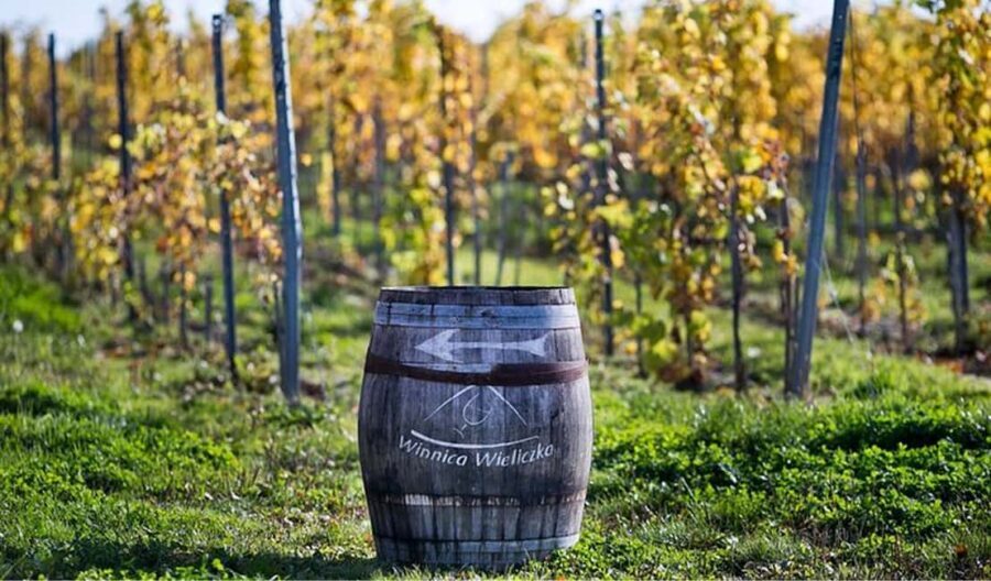 Kraków: Private Lavender Fields & Vineyard Tasting Tour - The Itinerary Breakdown