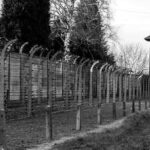 Krakow to Auschwitz Birkenau Guided Tour with Ticket Hotel Pickup - The Sum Up