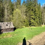 Krakow: Zakopane & Tatra Mountains E-Bike Tour & Spa - Is This Tour Worth It?