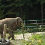 Krakow: Zoo Tour with Private Transport and Tickets - Who Should Consider This Tour?