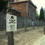 Krakow:Guided Auschwitz-Birkenau Tour - Transport by Minivan - What Makes This Tour Stand Out?