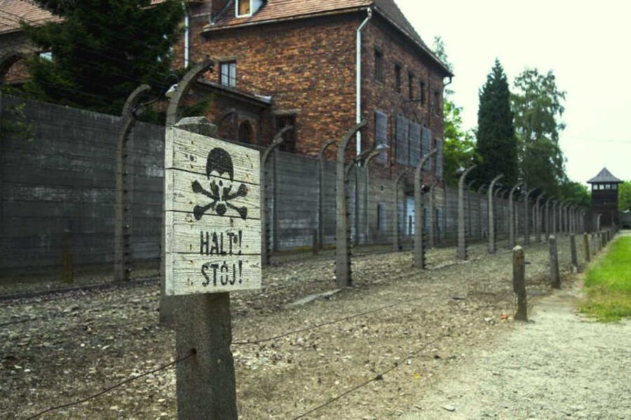 Krakow:Guided Auschwitz-Birkenau Tour - Transport by Minivan - What Makes This Tour Stand Out?
