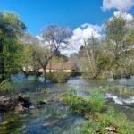 Krka Waterfalls and Skradin Visit from Zadar - Who This Tour Is Best For