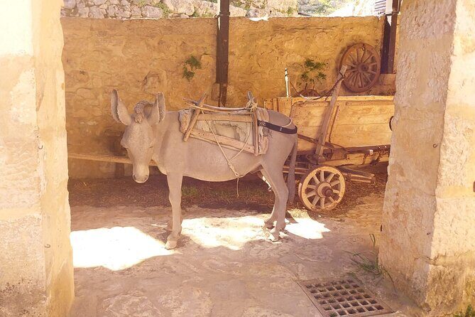 Krka Waterfalls & Skradin AFTERNOON Tour - TICKET INCLUDED - The Itinerary Breakdown: What to Expect