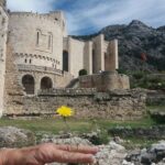 Kruja and Durres Daytrip from Tirana - Analyzing the Experience: What’s the True Value?
