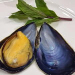 Ksamil: Mussel Sailing Tour with Food and Drink in Albania - What’s Included and What to Expect