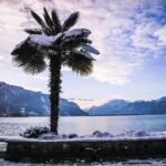 (KTG303) - Winter Montreux, Chillon & Chaplin's World from Geneva - Who Would Love This Tour?