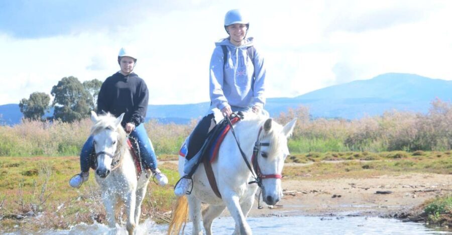 Kusadasi: Beach and Forest Horse Riding Tour - Who Will Love This Tour?