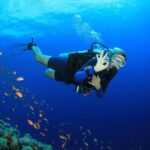 Kusadasi: Diving Experience with Lunch and Transfer - Key Points