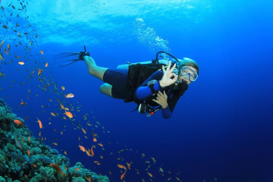 Kusadasi: Diving Experience with Lunch and Transfer - Key Points