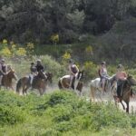 Kusadasi Horse Riding On Beach And Through The River - Final Thoughts: Is It Worth It?