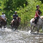 Kusadasi Horseback Riding - Analyzing the Tour from a Value Perspective