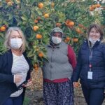 Kusadasi Port Private Ephesus Tour - An Honest Look at the Experience