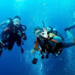 Kusadasi Scuba Diving - What to Expect During Your Day