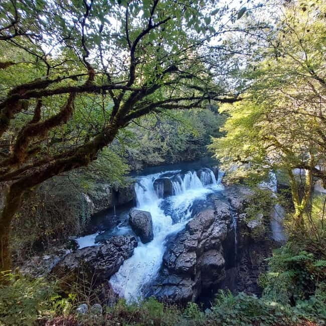 Kutaisi: Okatse-Martvili Canyons,Prometheus Cave, Waterfalls - Why This Tour Works for Travelers