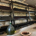 Kutaisi: Wine Tasting in Family Winery shop - Authenticity and Personal Touch