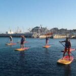 La Ciotat: Calanques National Park Stand-Up Paddleboard Tour - The Value and Who It’s Best For