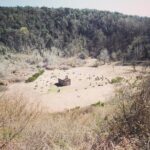 La Garrotxa and Besalú Private Tourfrom Barcelona - Who Will Love This Tour?