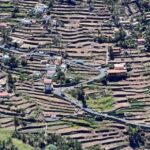 La Gomera: Garajonay National Park Entry Ticket and Tour - Pricing and Value