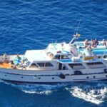 La Gomera: Whale Watching Tour on an Vintage Boat - Authentic Guest Perspectives